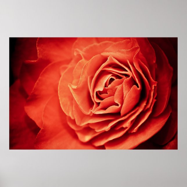 Affiche vivant rose (Devant)
