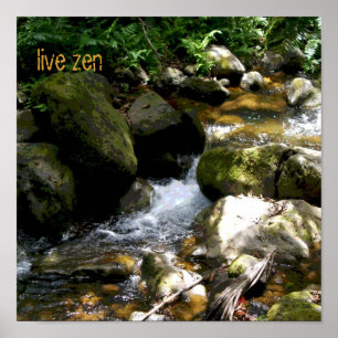 Affiche vivante de zen de ruisseau