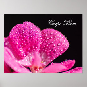 Affiche Vivez votre vie en harmonie avec la nature !