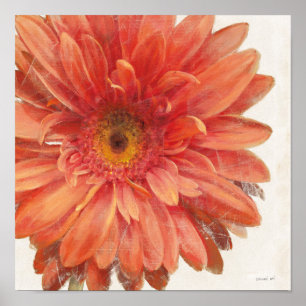 Affiche Vivid Daisy 2