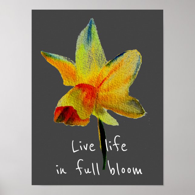 Affiche Vivre en pleine floraison Jaune Daffodil Printemps (Devant)