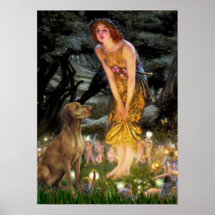 Affiche Vizsla 1 - MidEve