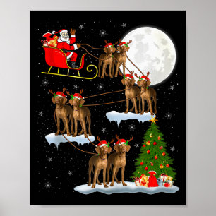 Affiche Vizsla Chien Père Noël Traîneau Volant Drôle Magiq