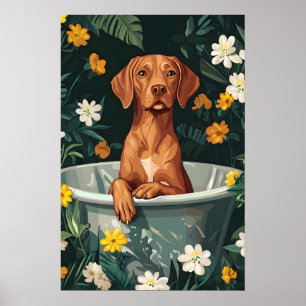 Affiche Vizsla dans baignoire, Affiche drôle de ch