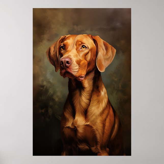 Affiche Vizsla hongroise (Devant)
