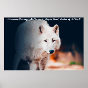 Affiche Vœux de Noël Chef de Meute
