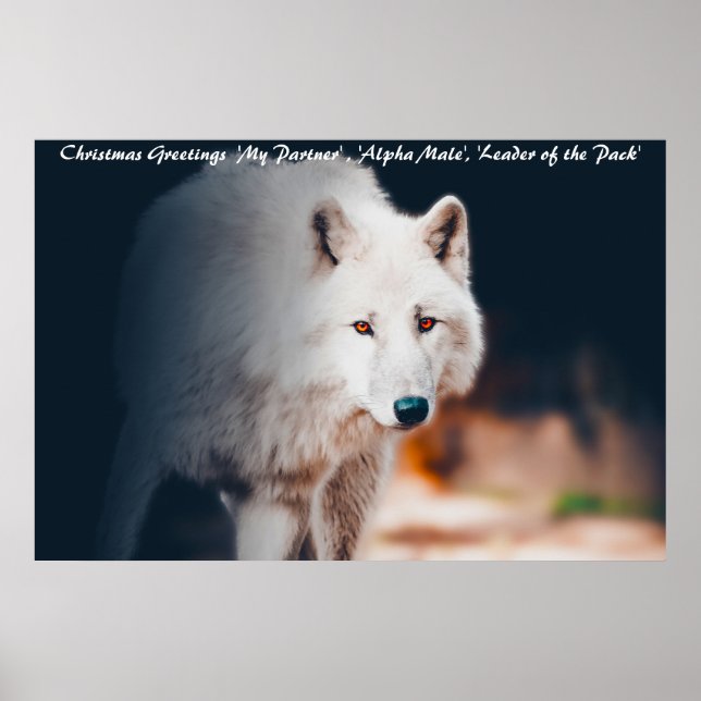 Affiche Vœux de Noël Chef de Meute (Devant)