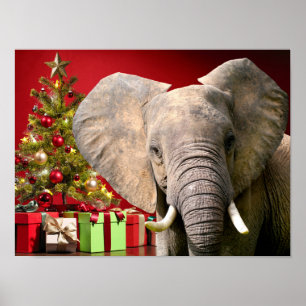 Affiche Voeux de Noël éléphant