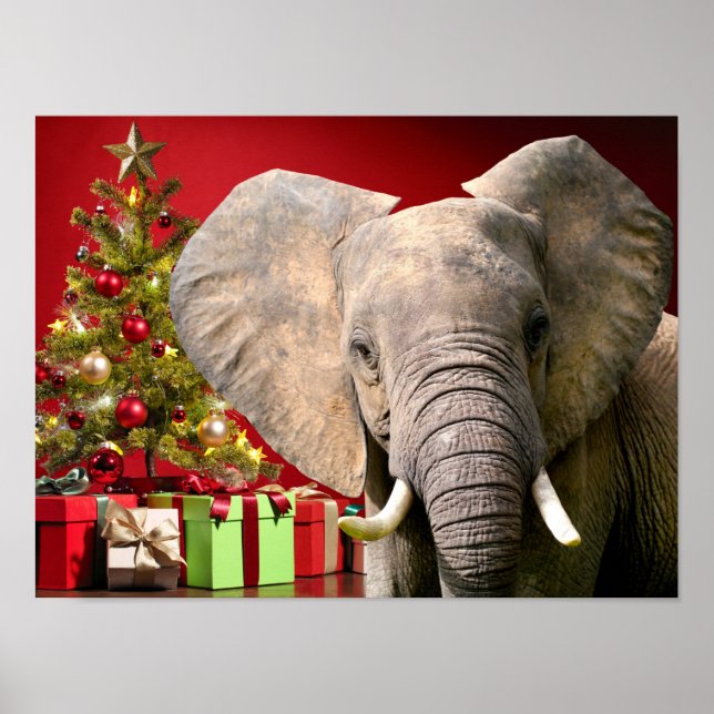 Affiche Voeux de Noël éléphant (Devant)