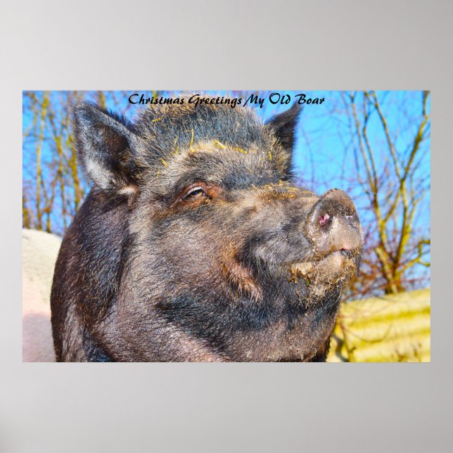 Affiche voeux de Noël Mon vieux garçon (Devant)