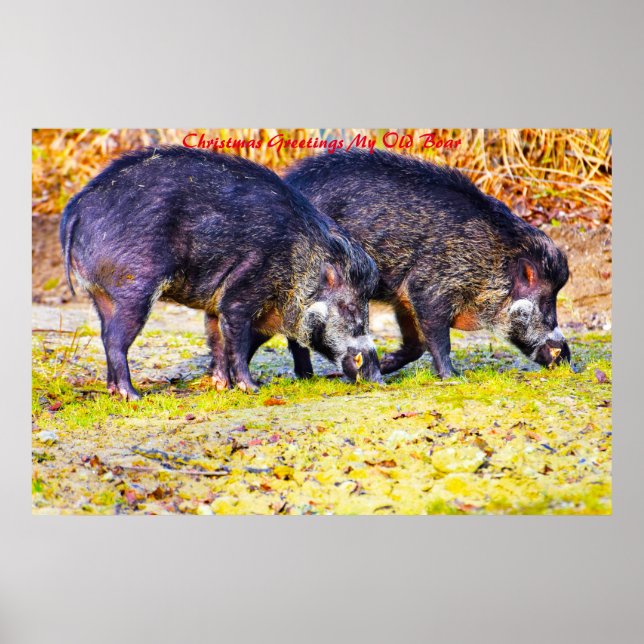 Affiche voeux de Noël Mon vieux garçon (Devant)