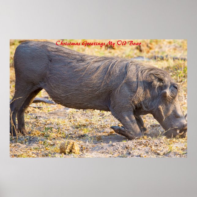 Affiche voeux de Noël Mon vieux garçon (Devant)