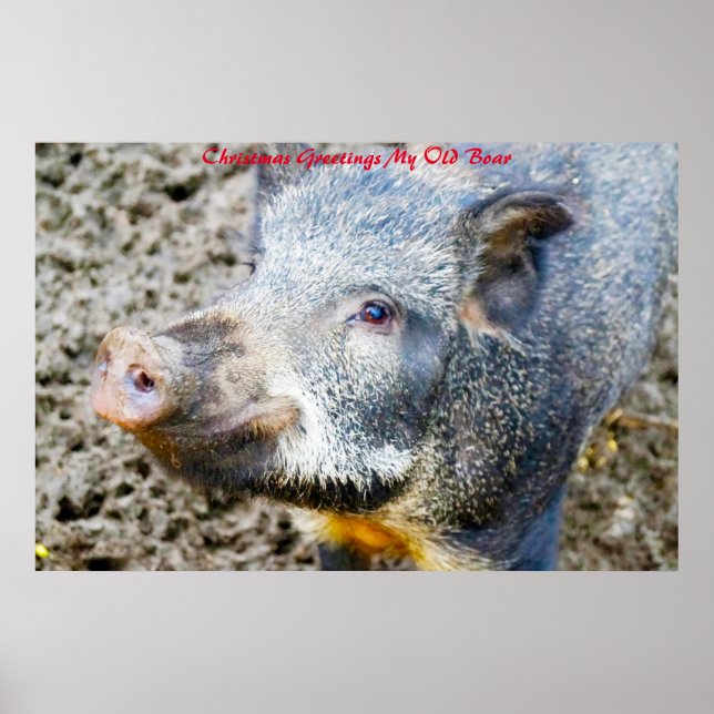 Affiche voeux de Noël Mon vieux garçon (Devant)