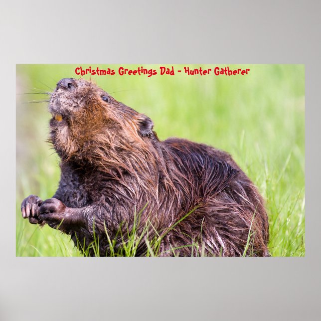 Affiche Vœux de Noël Papa Chasseur-Cueilleur (Devant)