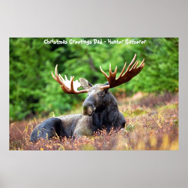 Affiche Vœux de Noël Papa Chasseur-Cueilleur (Devant)