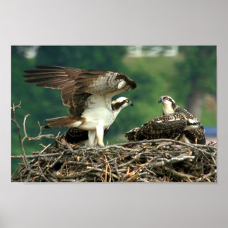 Affiche Voici comment ces choses fonctionnent