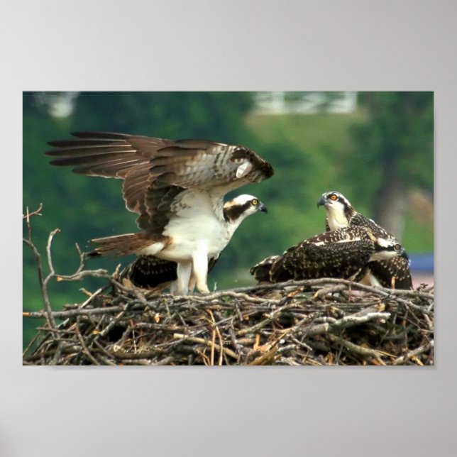 Affiche Voici comment ces choses fonctionnent (Devant)