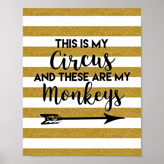 Affiche Voici l'affiche de My Circus (Devant)