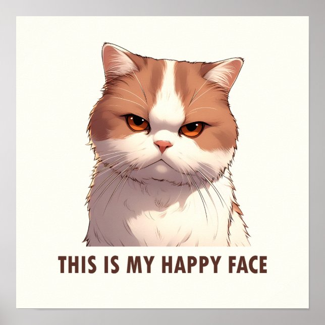 Affiche Voici mon joyeux chat Moody Face (Devant)