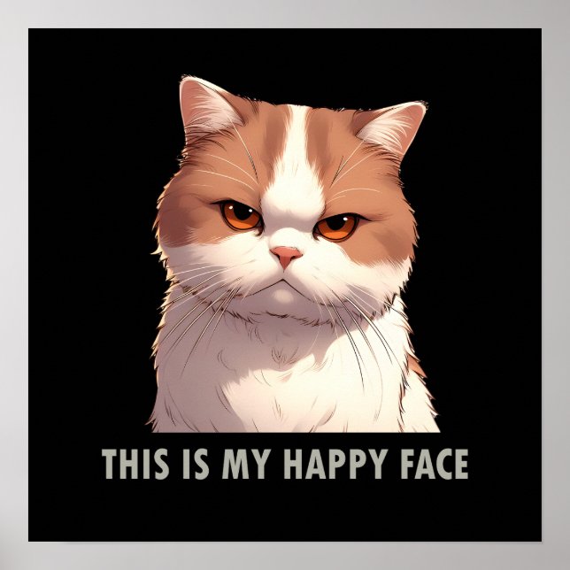 Affiche Voici mon joyeux chat Moody Face (Devant)