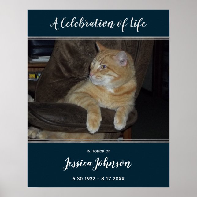 Affiche Voie d'entrée de célébration de la vie une photo (Devant)