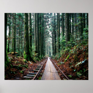 Affiche Voies de train dans la forêt