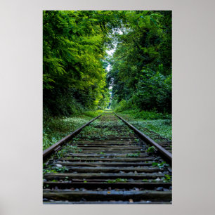 Affiche Voies de train de chemin de fer à travers des bois