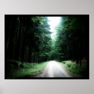 Affiche Voies sombres