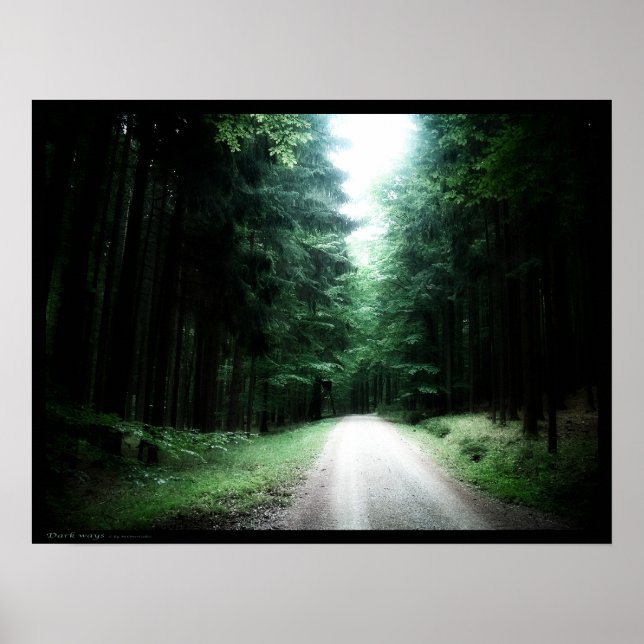 Affiche Voies sombres (Devant)