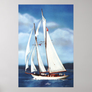 Affiche Voile