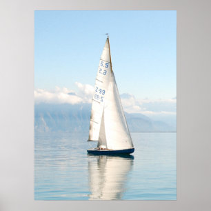 Affiche Voile sur une baie de mer calme comme miroir