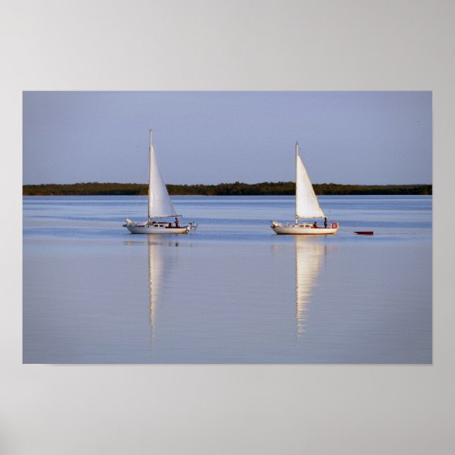 Affiche Voiliers jumeaux en voile matinale (Devant)