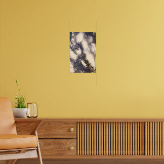 Affiche Voir au-dessus de l'arbre