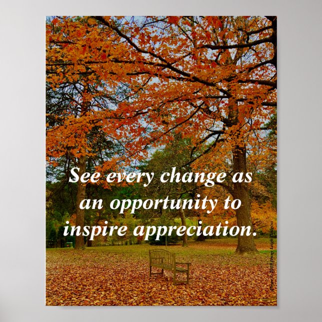 Affiche Voir chaque changement comme une opportunité d'ins (Devant)