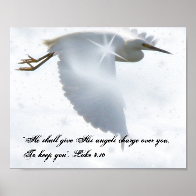 Affiche Vol Angel (Devant)