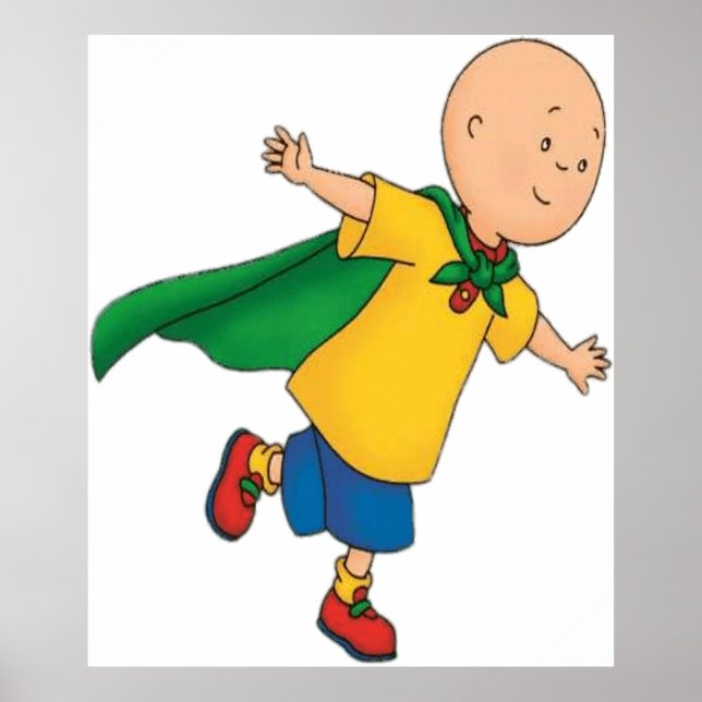 Affiche Vol Caillou (Devant)