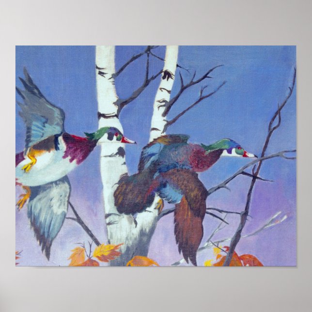 Affiche Vol de Fancy (Devant)