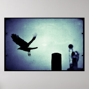 Affiche Vol de nuit de la pie