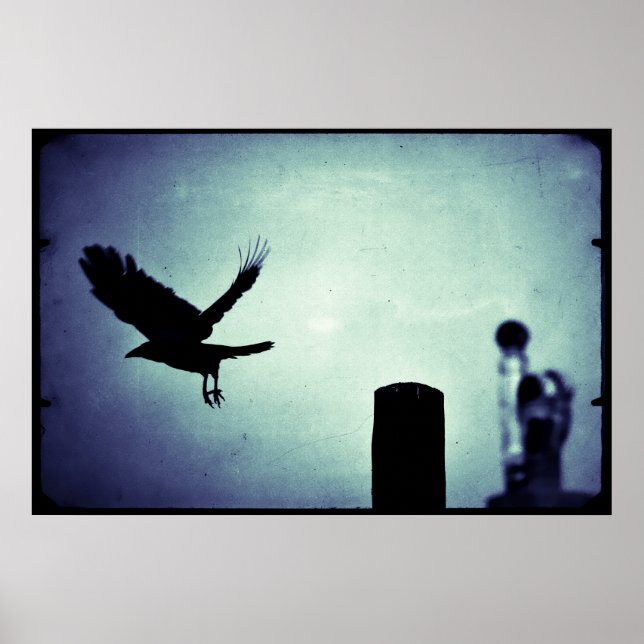 Affiche Vol de nuit de la pie (Devant)