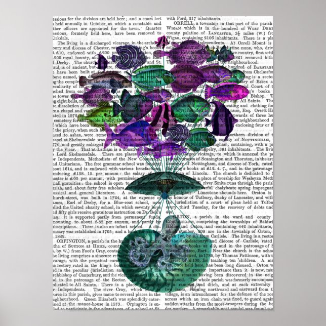 Affiche Vol Du Ballon À Air Chaud Poisson (Devant)