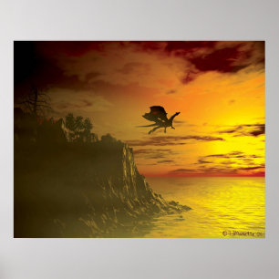 Affiche Vol du soir