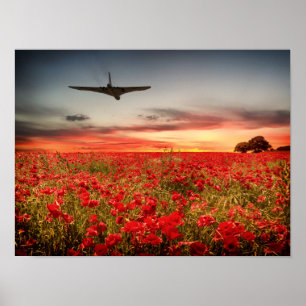 Affiche Vol final Vulcan