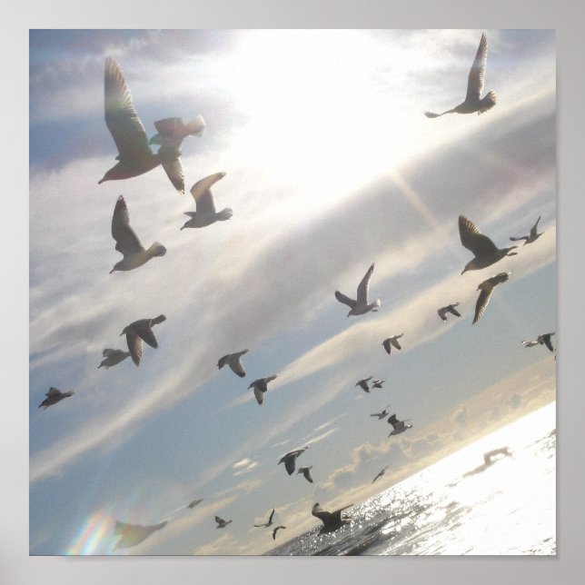 Affiche Vol gratuit (Devant)