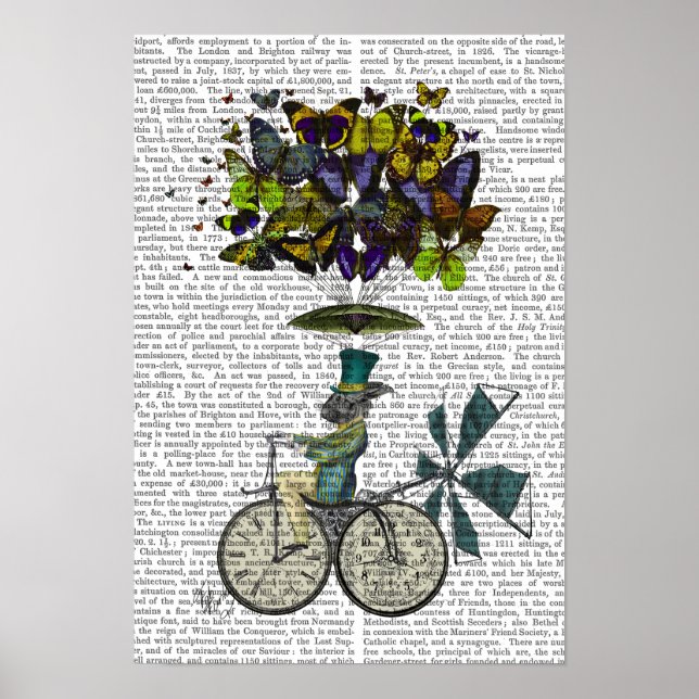 Affiche Vol temps Rabbit (Devant)