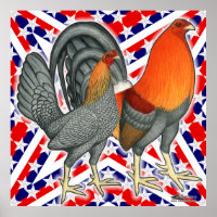 Volailles de jeu Stars and Stripes