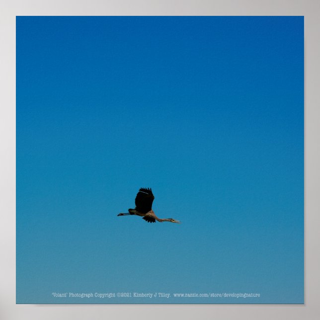 Affiche Volant (Devant)