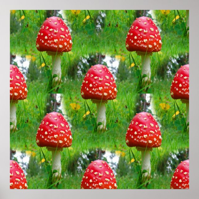 Affiche Voler les champignons de l'Agaric (Devant)