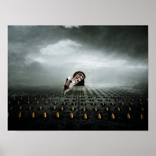 Affiche voleur de tulipe 2 2013 (Devant)