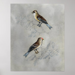 Affiche Volière argentée   deux oiseaux