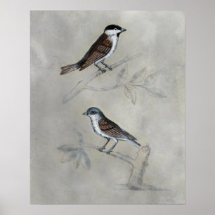 Affiche Volière argentée   une paire d'oiseaux